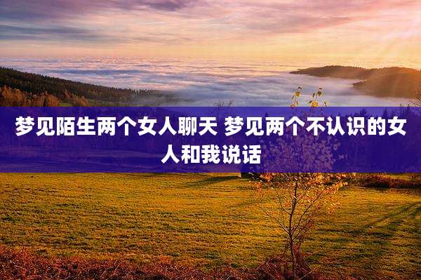 梦见陌生两个女人聊天 梦见两个不认识的女人和我说话