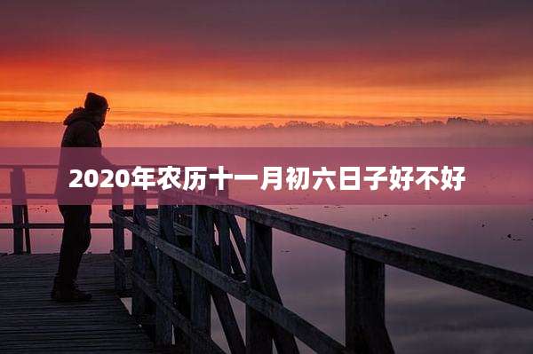 2020年农历十一月初六日子好不好