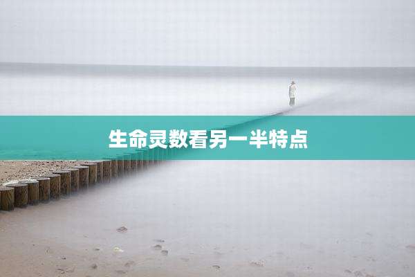 生命灵数看另一半特点