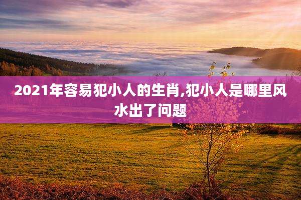 2021年容易犯小人的生肖,犯小人是哪里风水出了问题