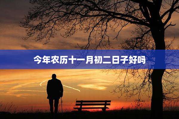 今年农历十一月初二日子好吗