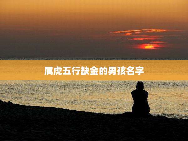 属虎五行缺金的男孩名字