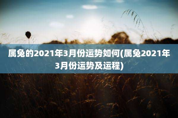 属兔的2021年3月份运势如何(属兔2021年3月份运势及运程)