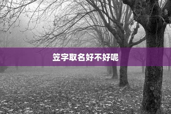 笠字取名好不好呢