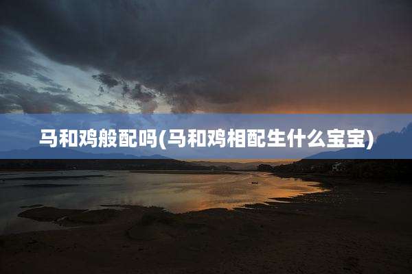 马和鸡般配吗(马和鸡相配生什么宝宝)