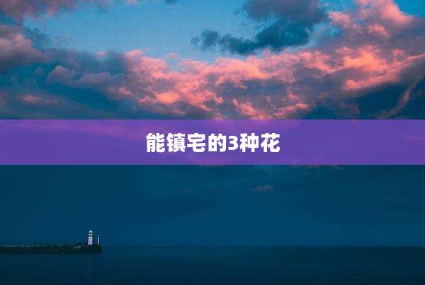 能镇宅的3种花