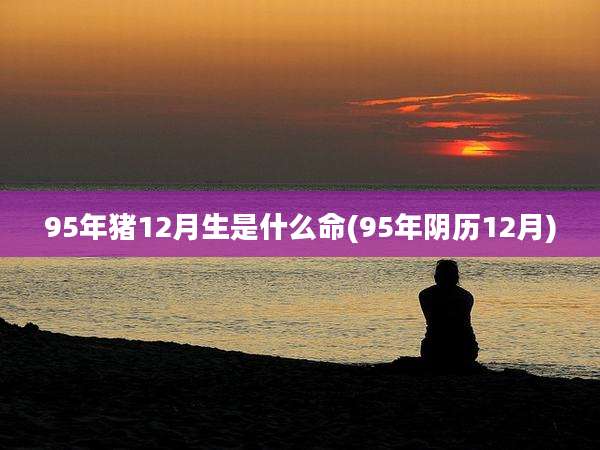 95年猪12月生是什么命(95年阴历12月)