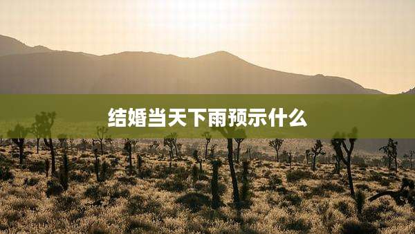 结婚当天下雨预示什么