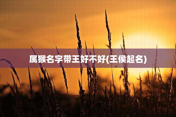 属猴名字带王好不好(王侯起名)