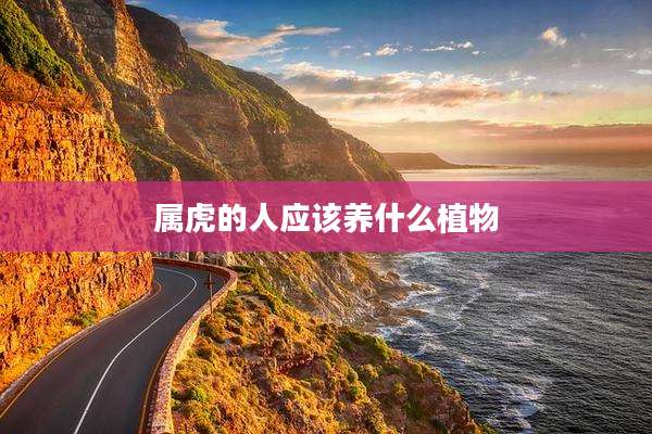 属虎的人应该养什么植物