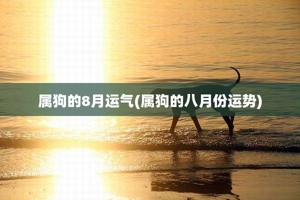 属狗的8月运气(属狗的八月份运势)