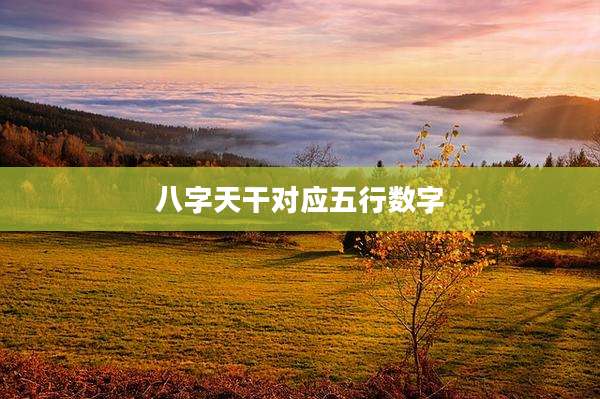 八字天干对应五行数字