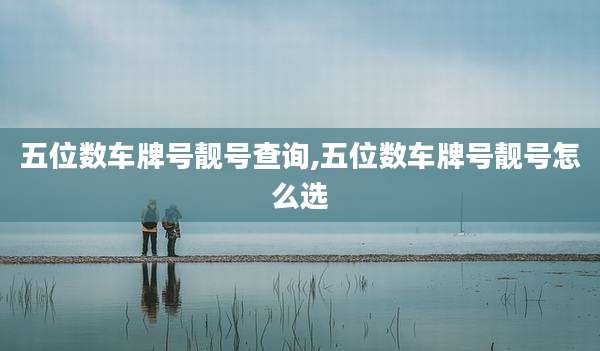 五位数车牌号靓号查询,五位数车牌号靓号怎么选