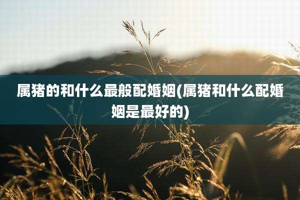 属猪的和什么最般配婚姻(属猪和什么配婚姻是最好的)