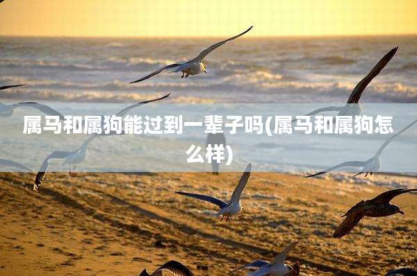 属马和属狗能过到一辈子吗(属马和属狗怎么样)