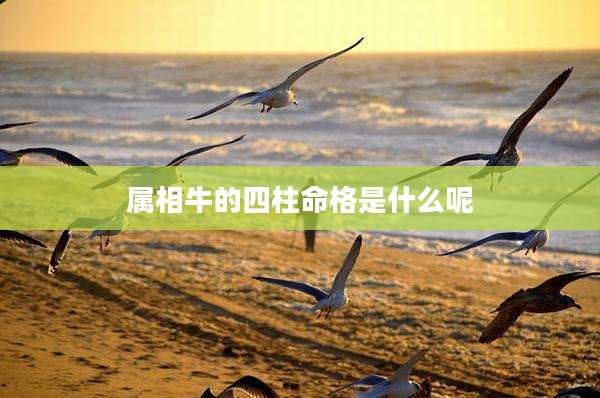 属相牛的四柱命格是什么呢