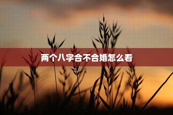 两个八字合不合婚怎么看
