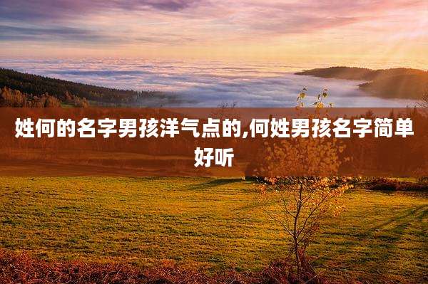 姓何的名字男孩洋气点的,何姓男孩名字简单好听