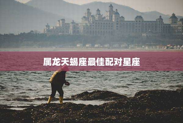 属龙天蝎座最佳配对星座