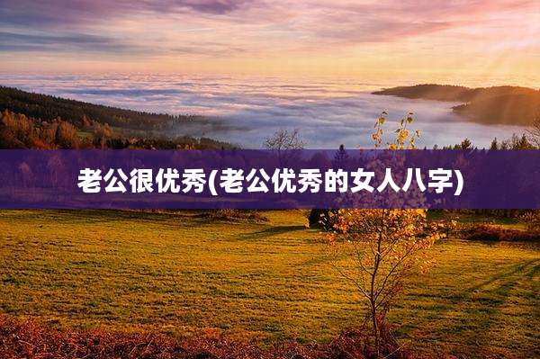 老公很优秀(老公优秀的女人八字)