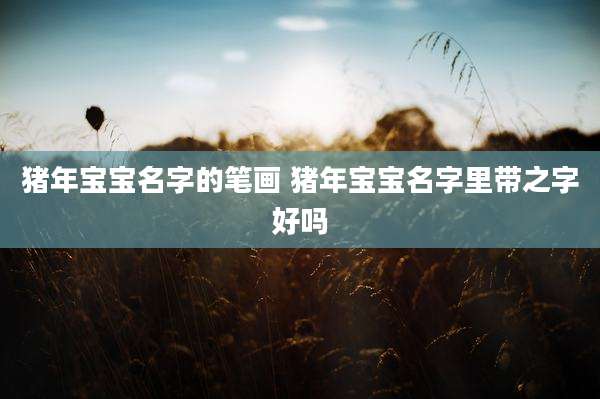 猪年宝宝名字的笔画 猪年宝宝名字里带之字好吗