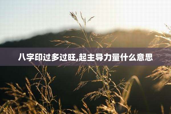 八字印过多过旺,起主导力量什么意思