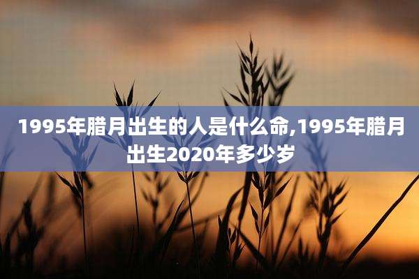 1995年腊月出生的人是什么命,1995年腊月出生2020年多少岁