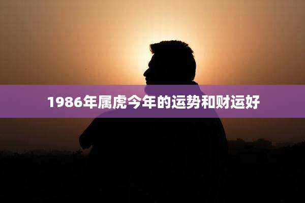 1986年属虎今年的运势和财运好
