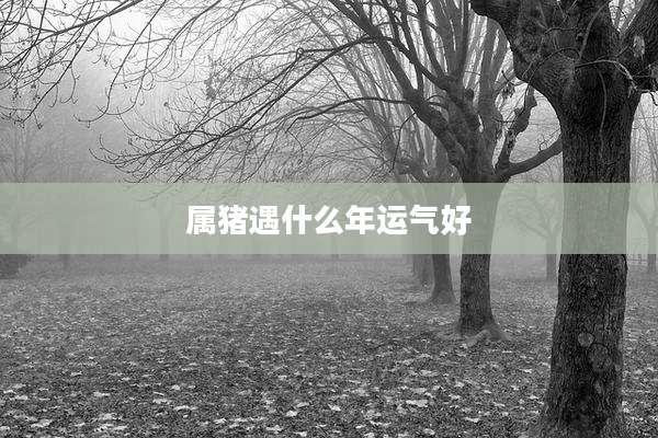 属猪遇什么年运气好