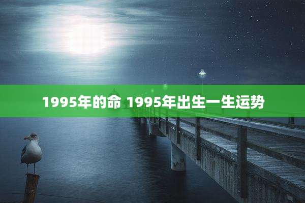 1995年的命 1995年出生一生运势