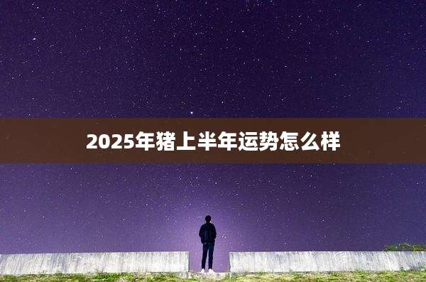 2025年猪上半年运势怎么样
