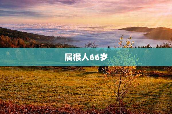 属猴人66岁