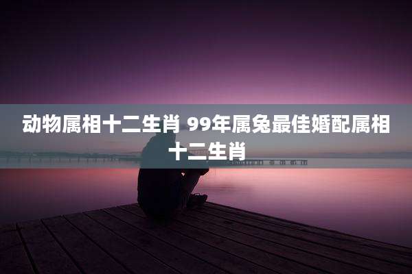 动物属相十二生肖 99年属兔最佳婚配属相十二生肖