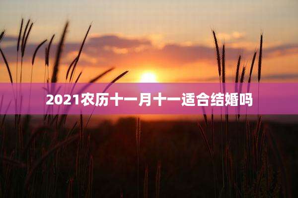 2021农历十一月十一适合结婚吗