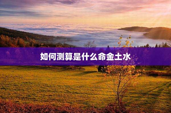 如何测算是什么命金土水