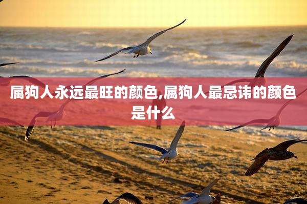 属狗人永远最旺的颜色,属狗人最忌讳的颜色是什么