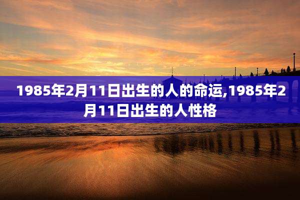 1985年2月11日出生的人的命运,1985年2月11日出生的人性格