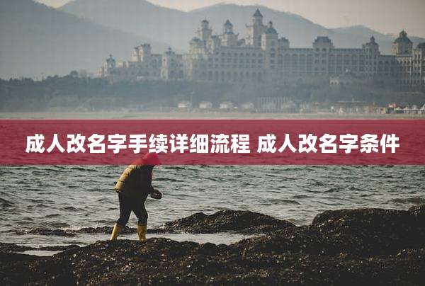 成人改名字手续详细流程 成人改名字条件