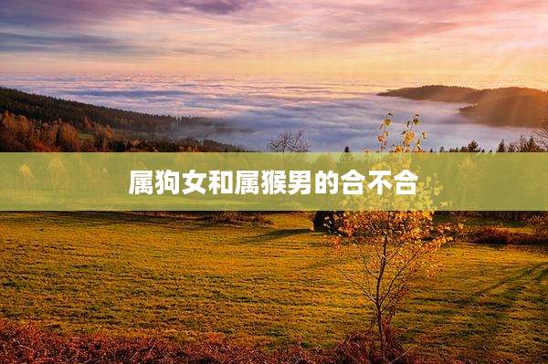 属狗女和属猴男的合不合