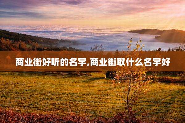 商业街好听的名字,商业街取什么名字好