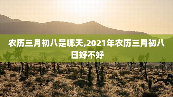 农历三月初八是哪天,2021年农历三月初八日好不好