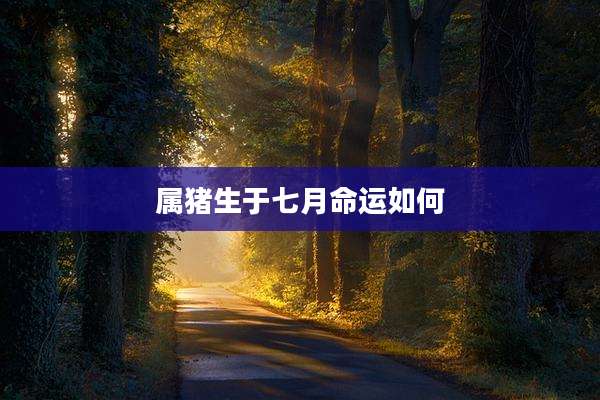 属猪生于七月命运如何
