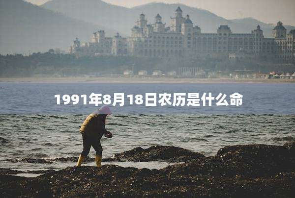 1991年8月18日农历是什么命