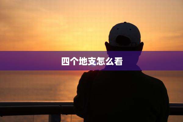 四个地支怎么看