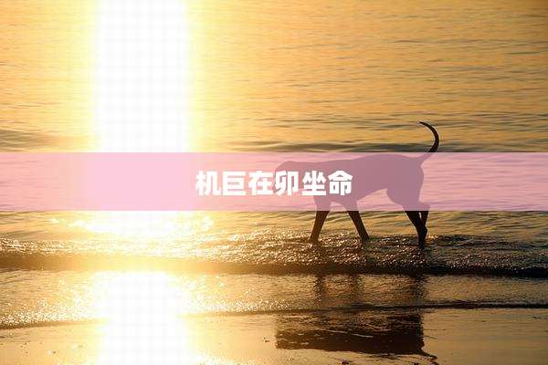 机巨在卯坐命