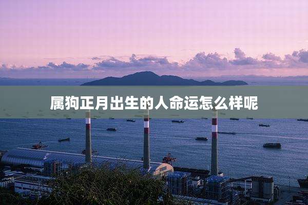 属狗正月出生的人命运怎么样呢