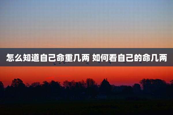 怎么知道自己命重几两 如何看自己的命几两