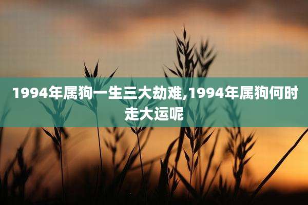 1994年属狗一生三大劫难,1994年属狗何时走大运呢