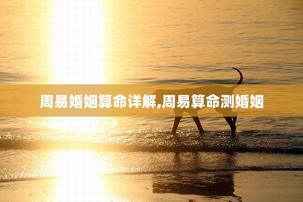 周易婚姻算命详解,周易算命测婚姻
