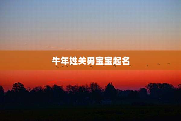 牛年姓关男宝宝起名